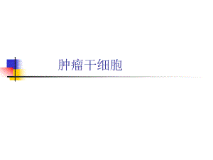 肿瘤干细胞.ppt.ppt
