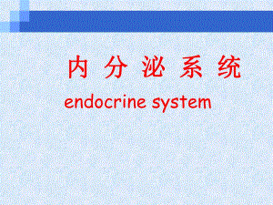 第十一章、内分泌系统理论课.ppt