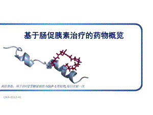 胰岛素概况.ppt