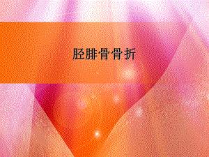 胫腓骨踝关节骨折专题培训PPT.ppt