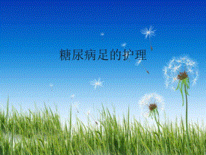 糖尿病足护理查房.ppt