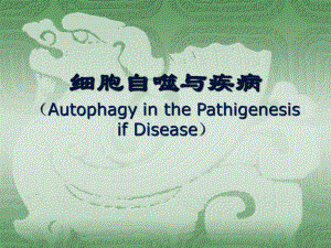 细胞自噬参考.ppt.ppt
