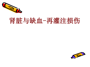 缺血再灌注损伤.ppt.ppt
