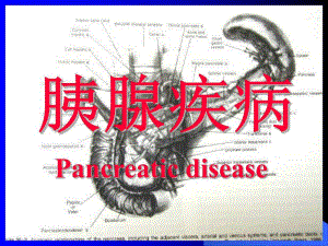 胰腺疾病.ppt