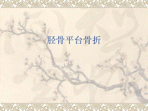 胫骨平台骨折最好的PPT.ppt