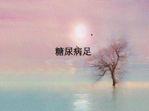 糖尿病足PPT.ppt