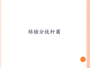 结核分枝杆菌.ppt.ppt