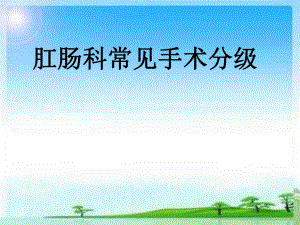 肛肠科手术分级.ppt
