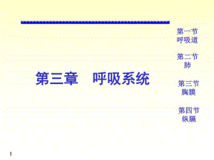 系统解剖学呼吸系统PPT.ppt