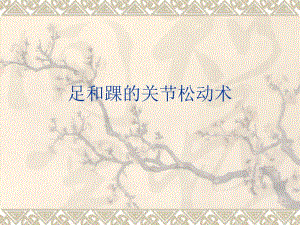 踝的关节松动术.ppt