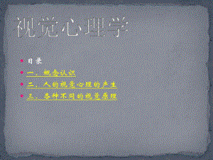视觉对视觉心理的认识.ppt