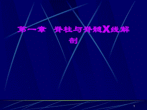 脊柱影像X线解剖.ppt