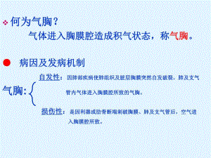 血气胸的护理【PPT】 .ppt