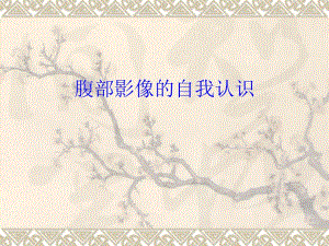 腹部影像的自我认识.ppt