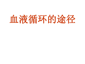 血液循环的途径.ppt