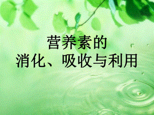 营养素的消化、吸收和利用.ppt