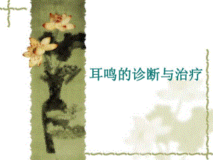 耳鸣的诊断与治疗.ppt