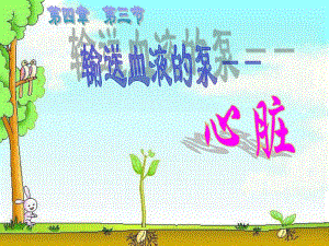 输送血液的泵心脏.ppt