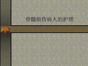 脊髓损伤病人的护理.ppt
