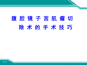 腹腔镜下子宫肌瘤切除术的手术技巧.ppt