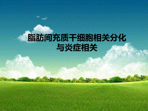 脂肪间充质干细胞相关分化与炎症相关.ppt