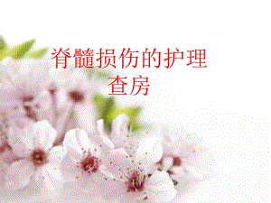 脊髓损伤的护理精要.ppt