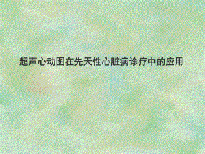 超声心动图在先天性心脏病诊疗中的应用.ppt