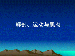 解剖运动肌肉.ppt.ppt