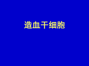 血液分子生物学造血干细胞.ppt