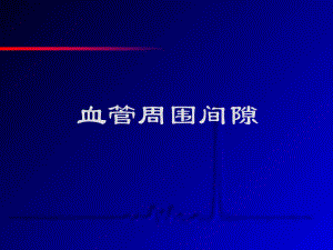 血管周围间隙.ppt