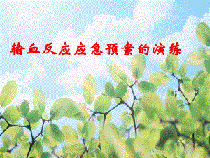输血反应演练方案.ppt