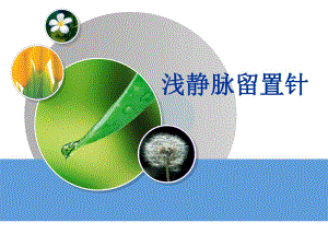 静脉留置针.ppt