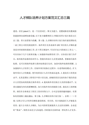 人才梯队培养计划方案范文汇总三篇.docx