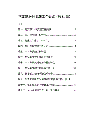 党支部党建工作要点12篇（完整版）.docx