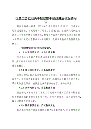 区总工会党组关于巡察集中整改进展情况的报告.docx