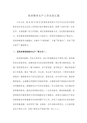 抓好粮食生产工作总结汇报.docx