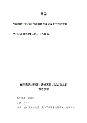 在国家统计局统计违法案件约谈会议上的表态发言+市统计局2024年统计工作要点.docx