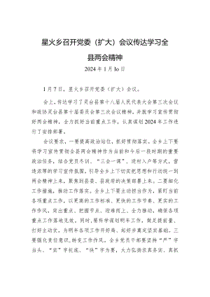 星火乡召开党委（扩大）会议+传达学习全县两会精神.docx