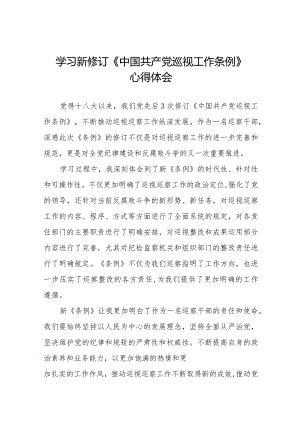 巡察干部学习2024版新修订《中国共产党巡视工作条例》心得体会十四篇.docx