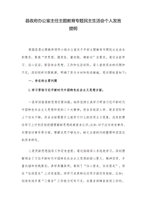 县政府办公室主任主题教育专题民主生活会个人发言提纲.docx