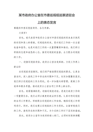 某市政府办公室在市委巡视组巡察进驻会上的表态发言.docx