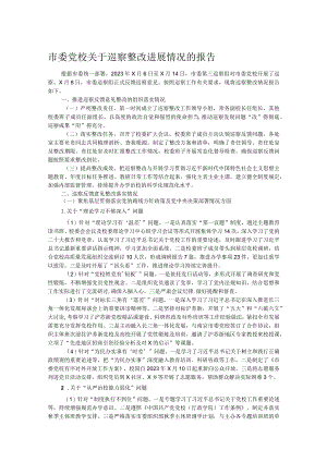 市委党校关于巡察整改进展情况的报告.docx