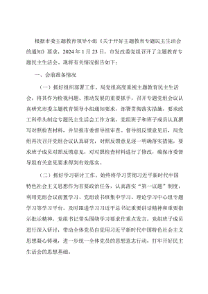 市发改委党组关于主题教育专题民主生活会召开情况的报告.docx