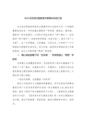 党支部专题教育开展情况总结汇报九篇(最新精选).docx