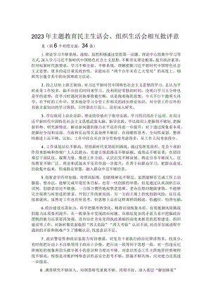 2023年主题教育民主生活会、组织生活会相互批评意见（新6个对照方面34条）.docx
