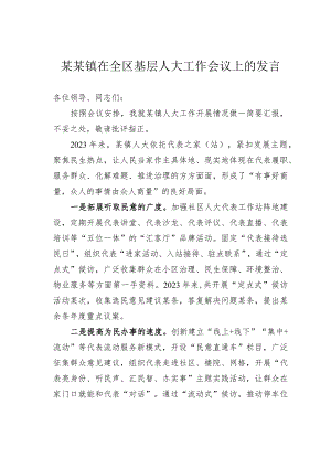 某某镇在全区基层人大工作会议上的发言.docx