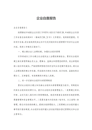 企业自查报告.docx
