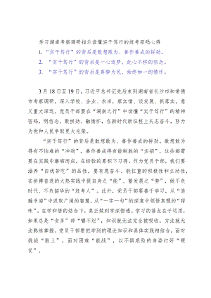 （3篇）学习湖南考察调研指示读懂实干笃行的赶考密码心得体会（领导干部学习贯彻2024年全国“两会”精神心得体会）doc.docx