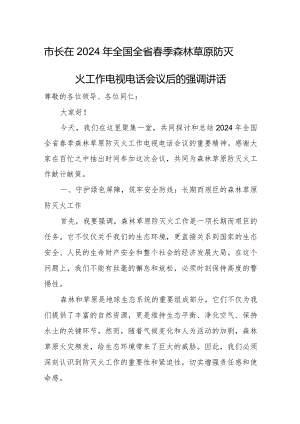市长在2024年全国全省春季森林草原防灭火工作电视电话会议后的强调讲话.docx