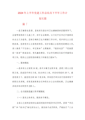 2024年上半年党建工作总结及下半年工作计划五篇合集.docx